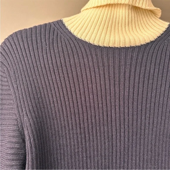 Acne Studios Bryn Clean Wool Roll Neck Sweater